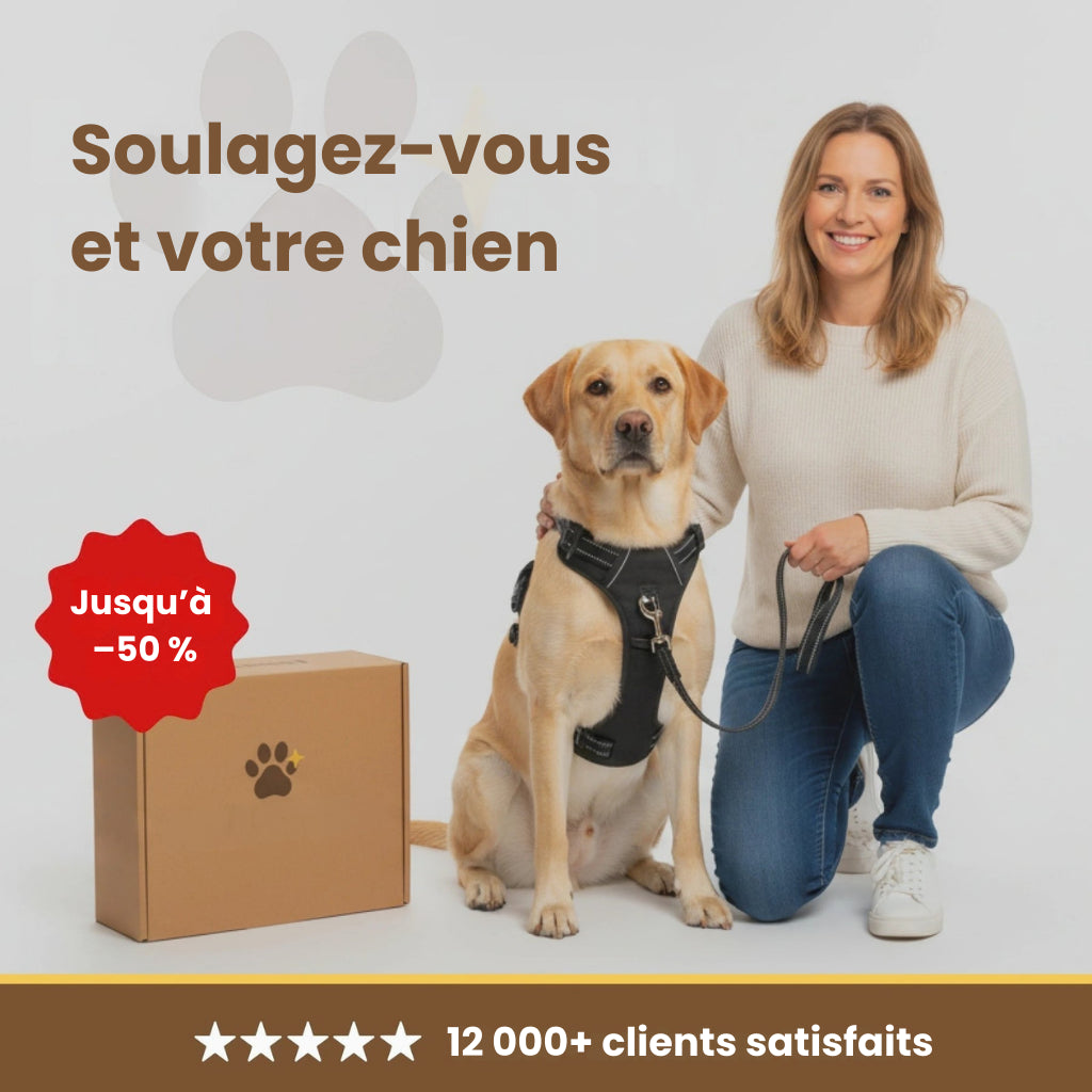 CalmPaw™ – Harnais anti-traction