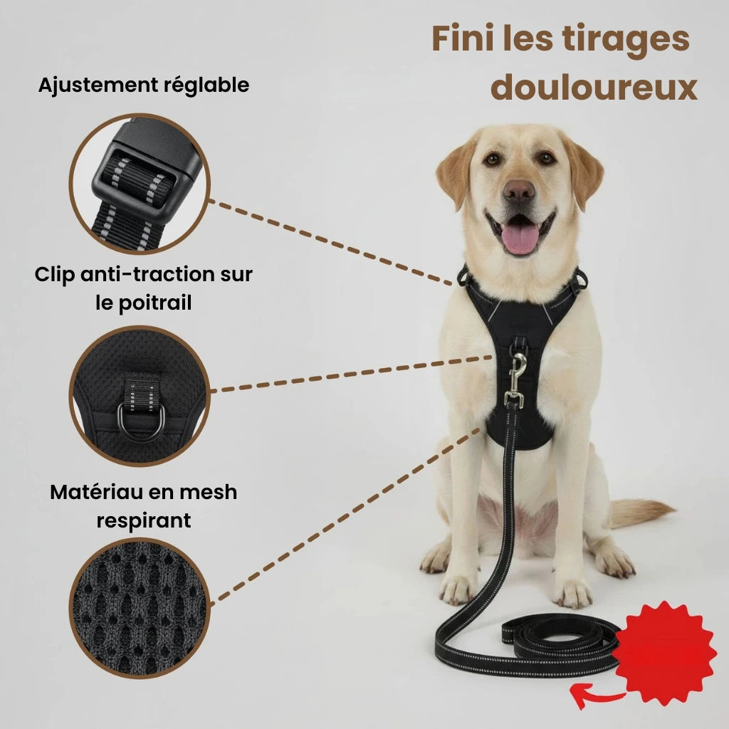 CalmPaw™ – Harnais anti-traction