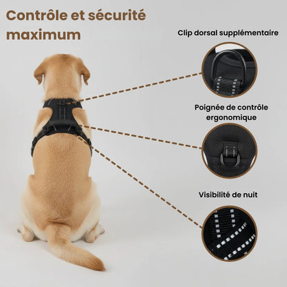 CalmPaw™ – Harnais anti-traction