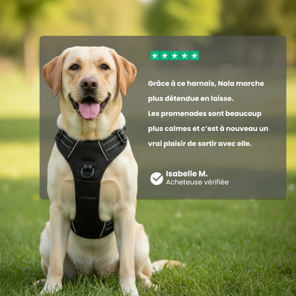 CalmPaw™ – Harnais anti-traction