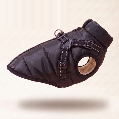 All-Weather Harness Dog Coat