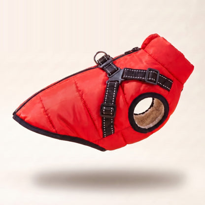 All-Weather Harness Dog Coat