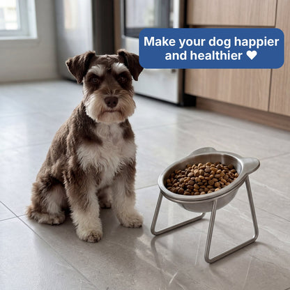 PawLift™ Plato Elevado Inclinado para Perro