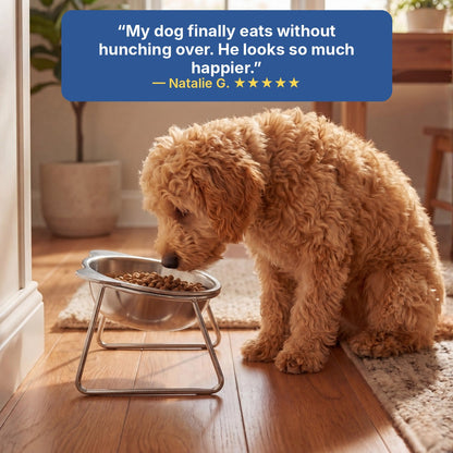 PawLift™ Plato Elevado Inclinado para Perro