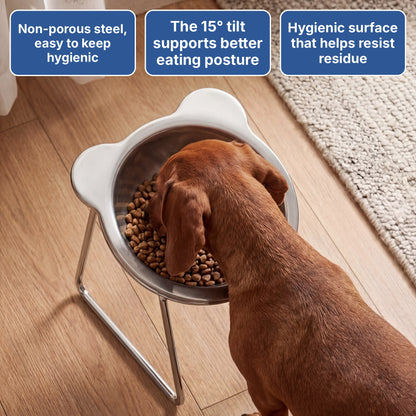 PawLift™ Plato Elevado Inclinado para Perro