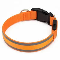 Collier lumineux - CalmPaw™
