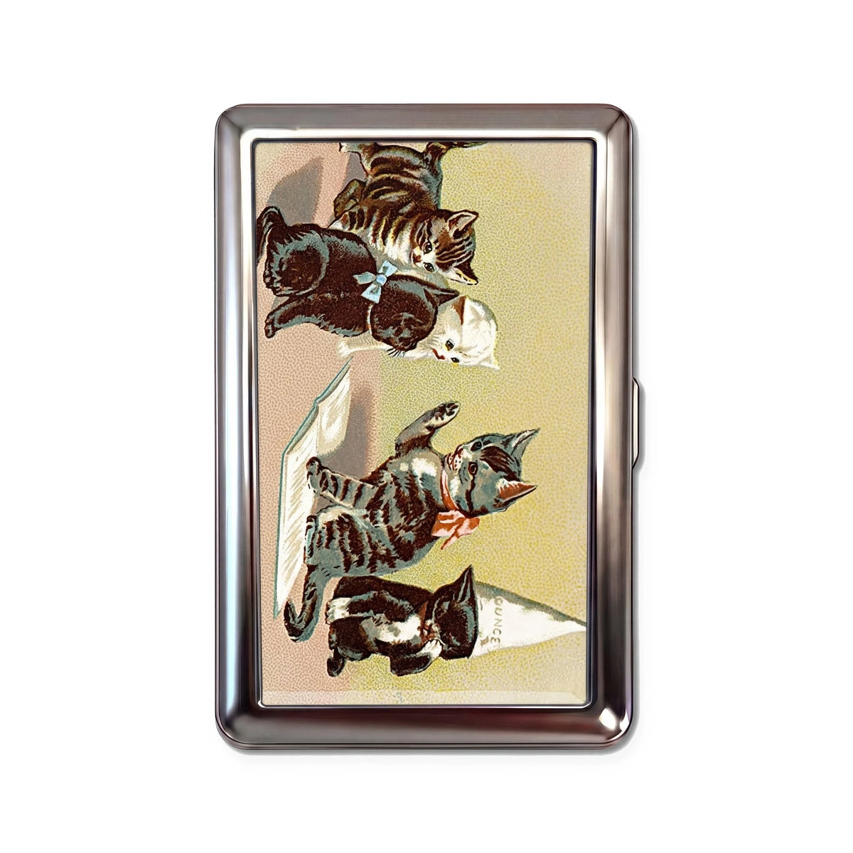 Gatitos de Salón